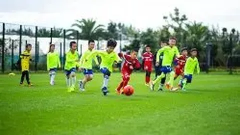 中国女排迎战荷兰女排赛事直播时间及观看链接一览+参赛阵容