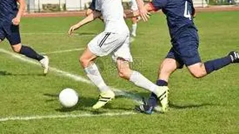 乐竞体育 资讯 115308 rue